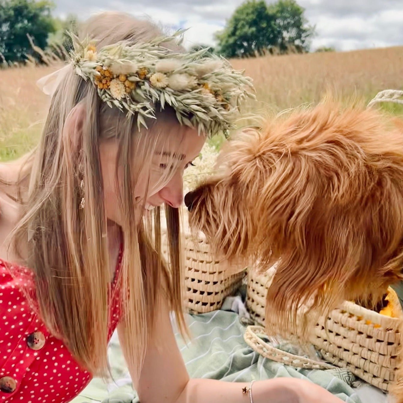 Dried Flower Crown | Sunshine