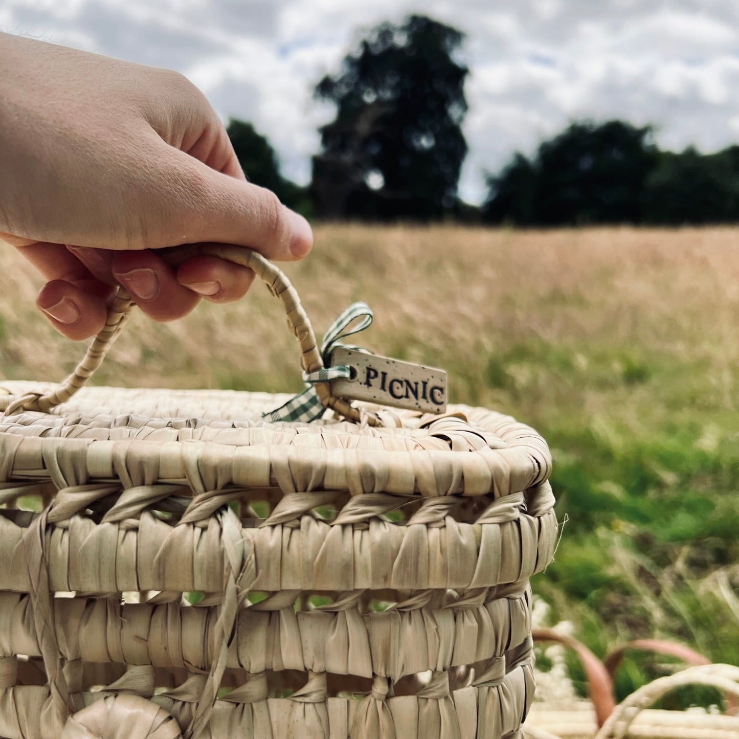 Mini Picnic Basket