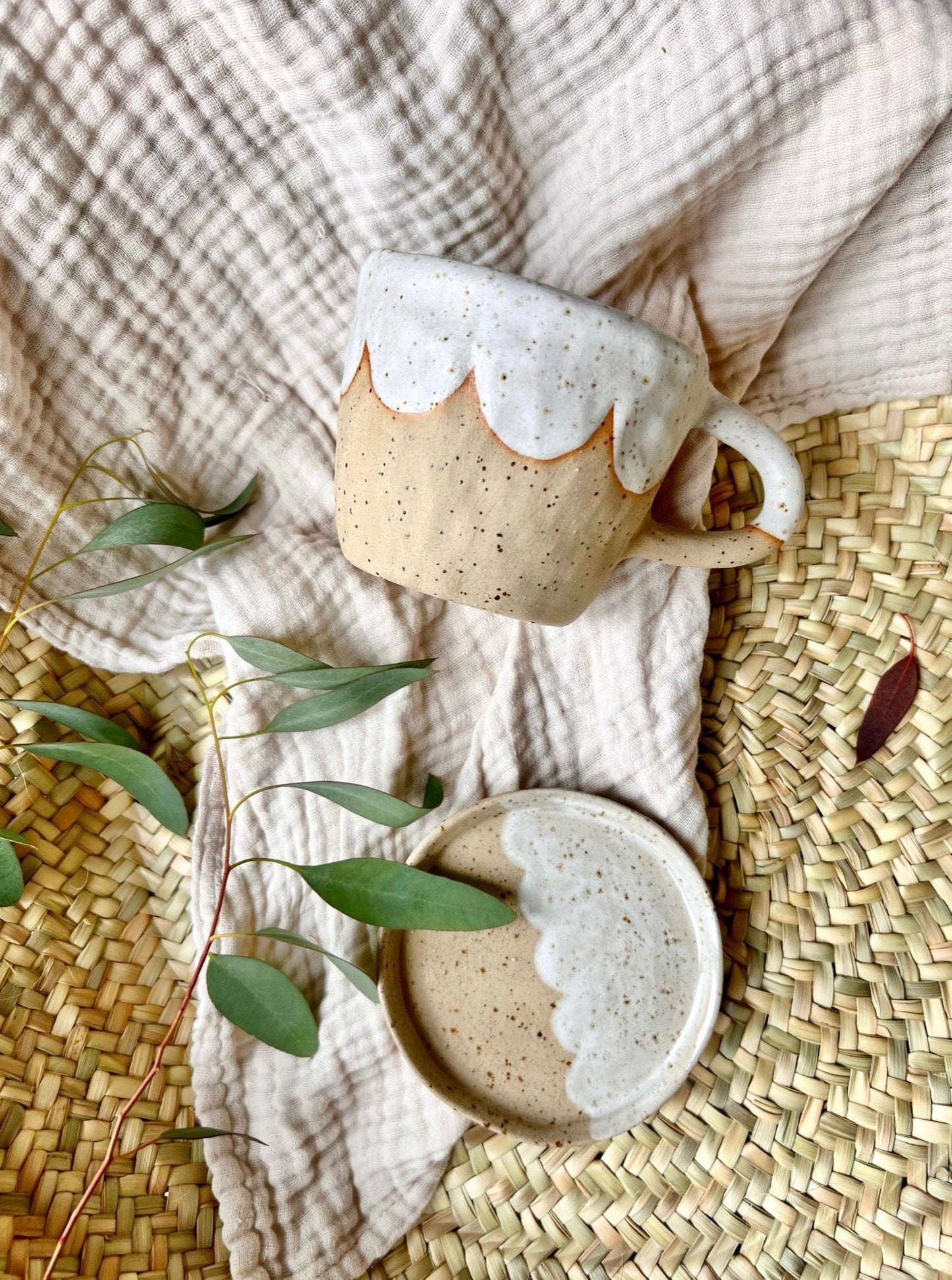 Scallop | Biscuit Plate & Cosy Mug Duo
