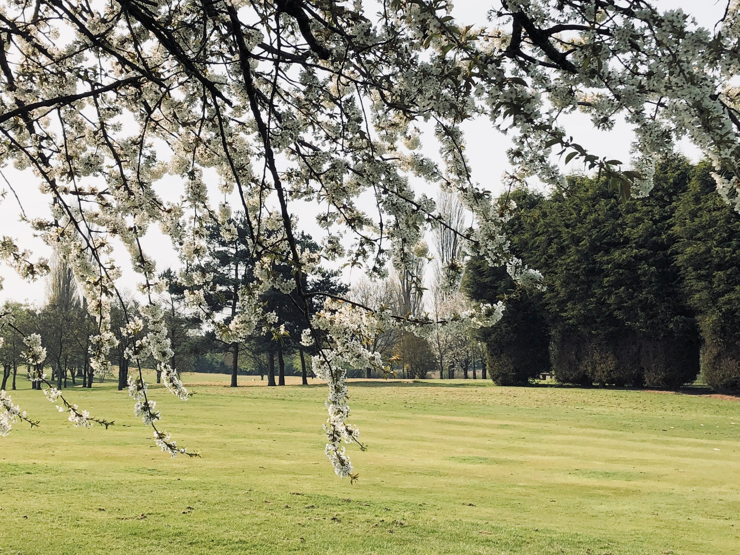 How to Live Slow and Enjoy the Simplicity of Spring | Teppi