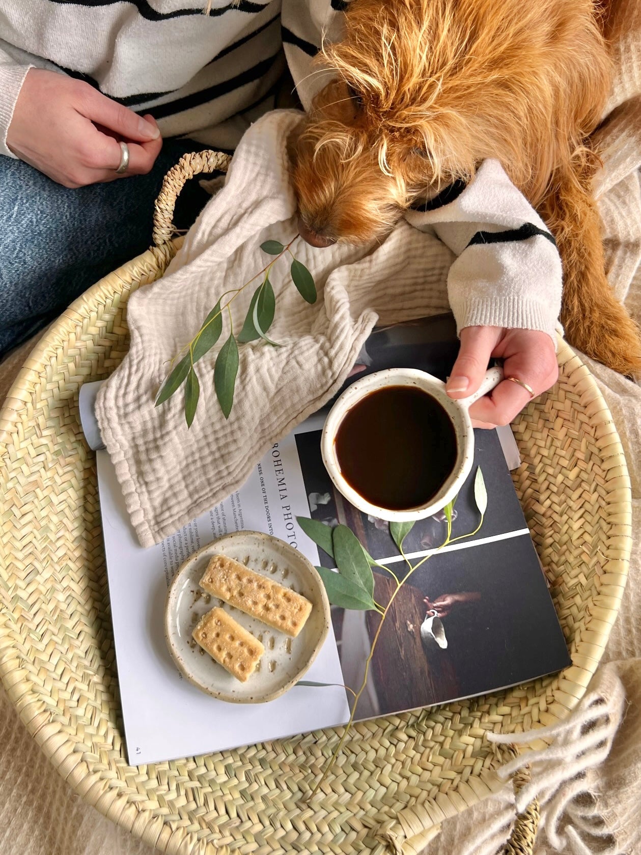 Dashes | Biscuit Plate & Cosy Mug Duo