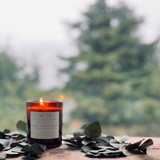 amber jar candle lit in the window and surrounded by green leaves