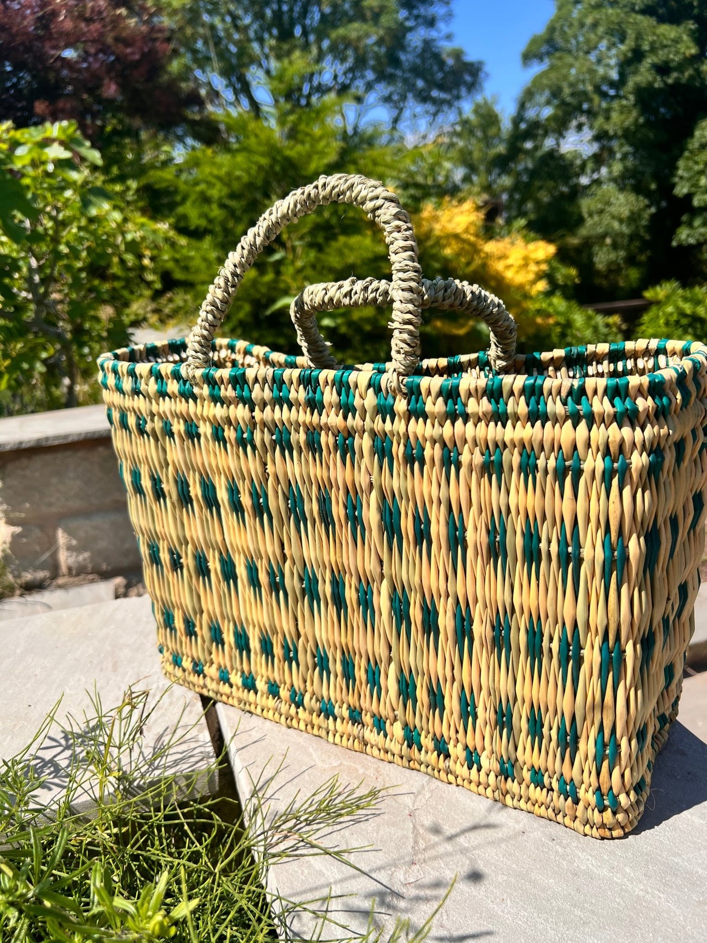 Woven Reed Basket | Teal Dashes